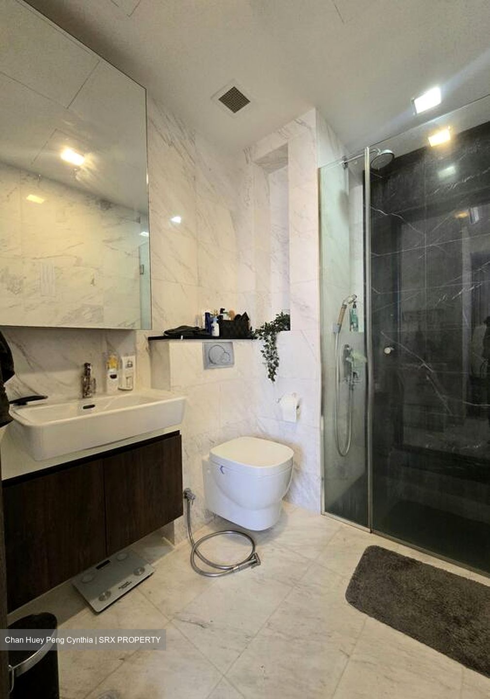 Spottiswoode 18 (D2), Apartment #500662241